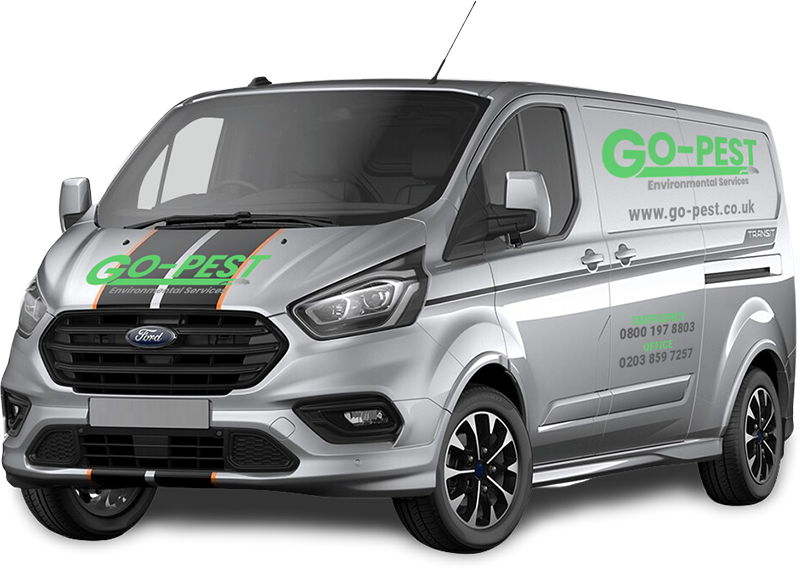 Pest Control Greenwich