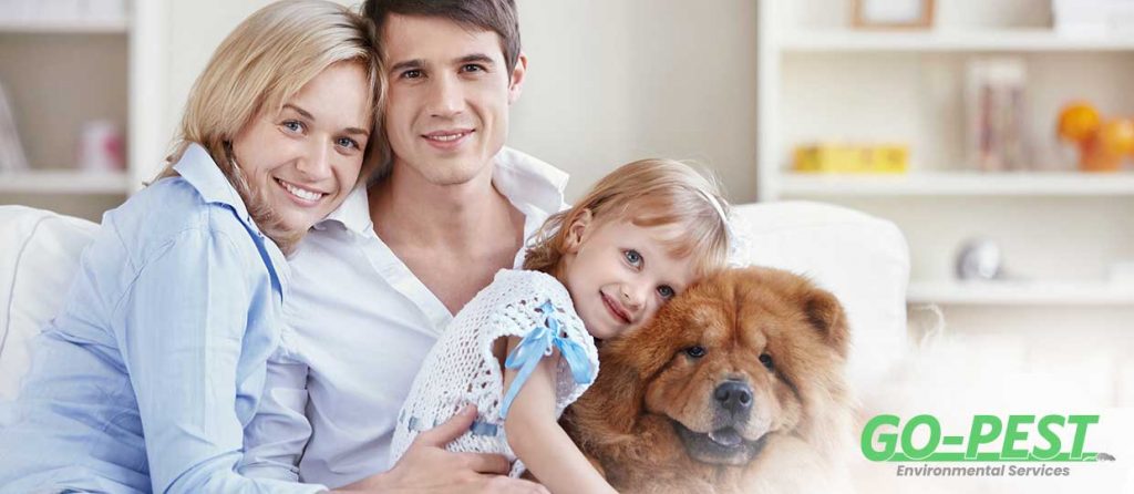Protectiing Your Pets and Family When Treating for Pests