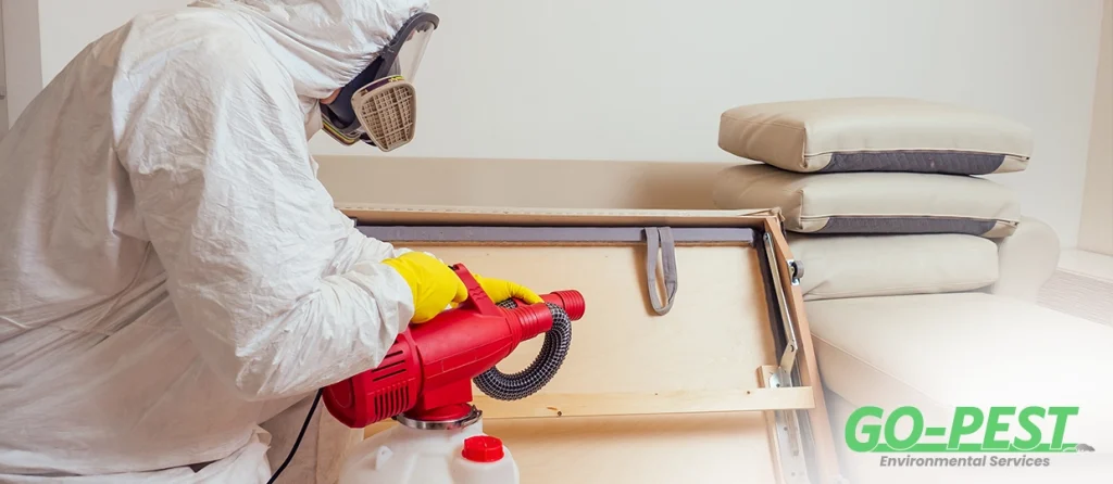 Bed Bug Treatment in London: What to Expect