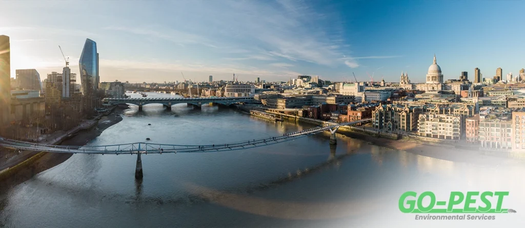 How Much Does Pest Control Cost in London?